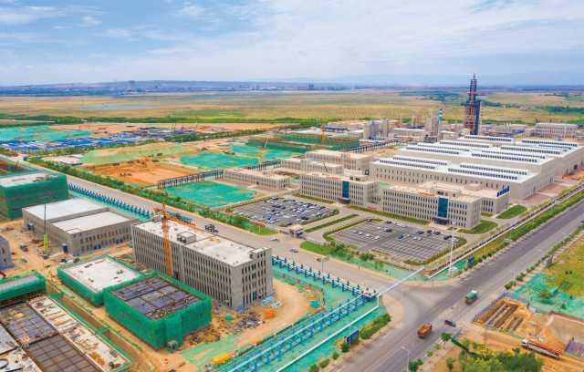 宁夏风情，花海中的宁夏魅力